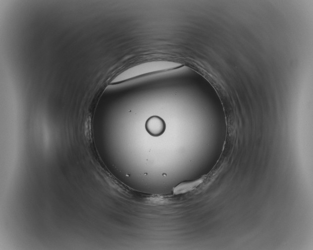 X0000116380425200912021523