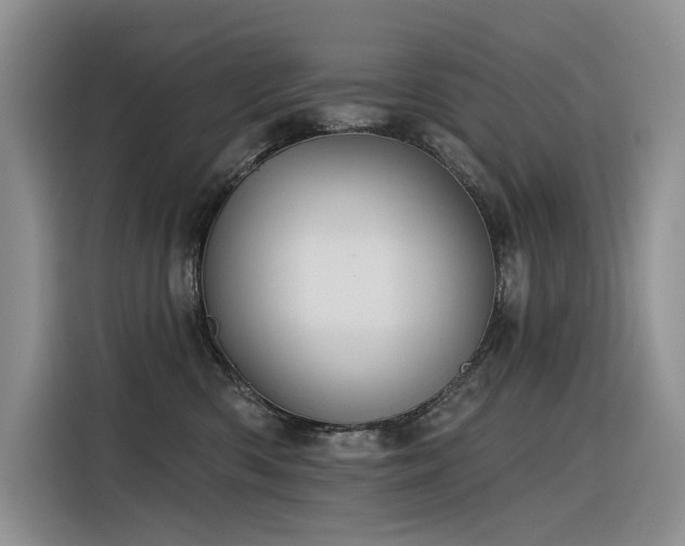 X0000116380426200912021523