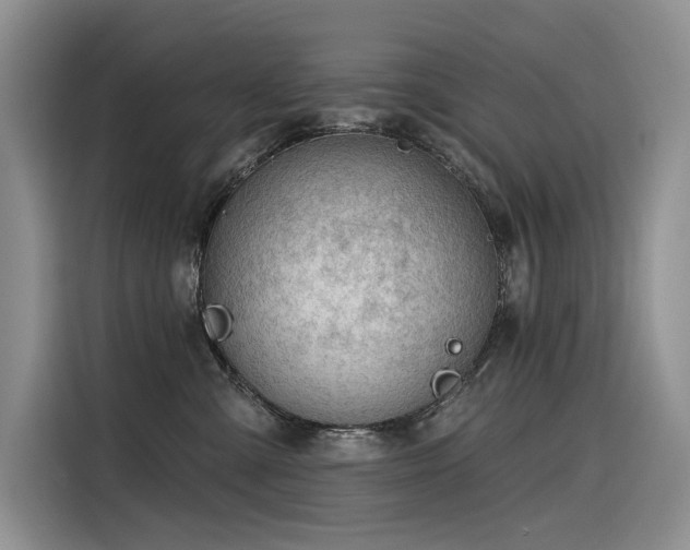X0000116380427200912021523