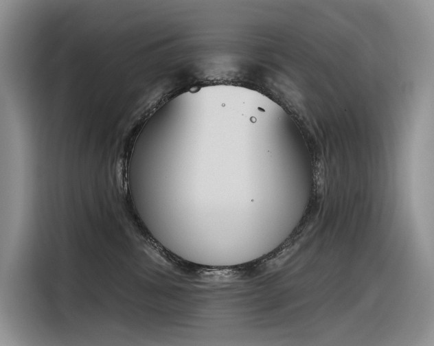 X0000116380428200912021523