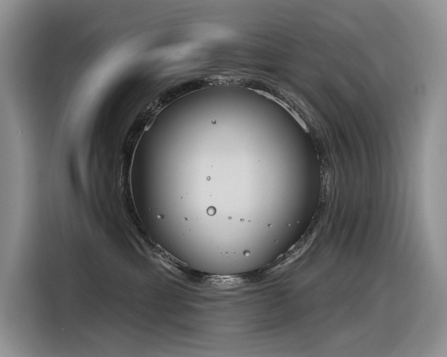 X0000116380429200912021523