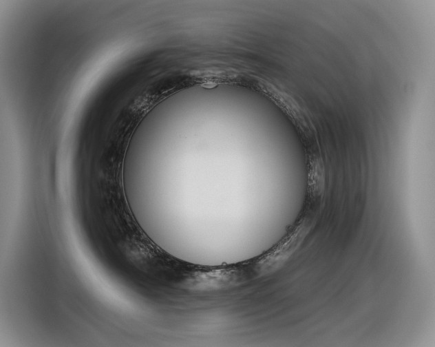 X0000116380430200912021523