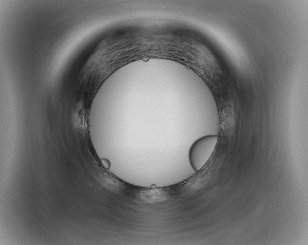 X0000116380431200912021523