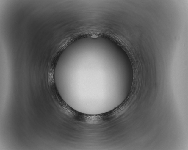 X0000116380432200912021523