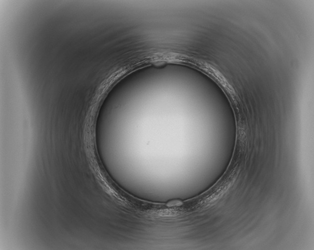 X0000116380433200912021523
