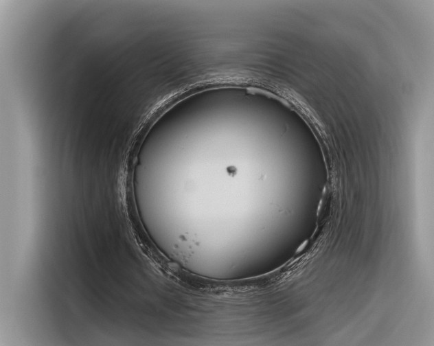 X0000116380434200912021523