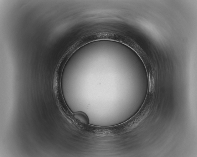 X0000116380435200912021523