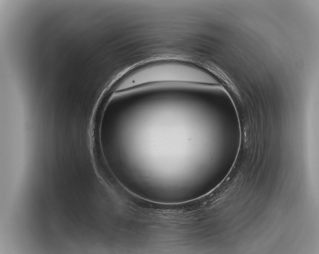 X0000116380436200912021523