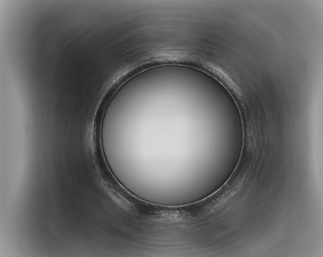 X0000116380439200912021523