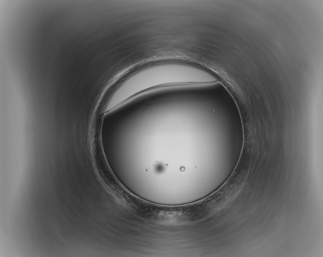 X0000116380440200912021523
