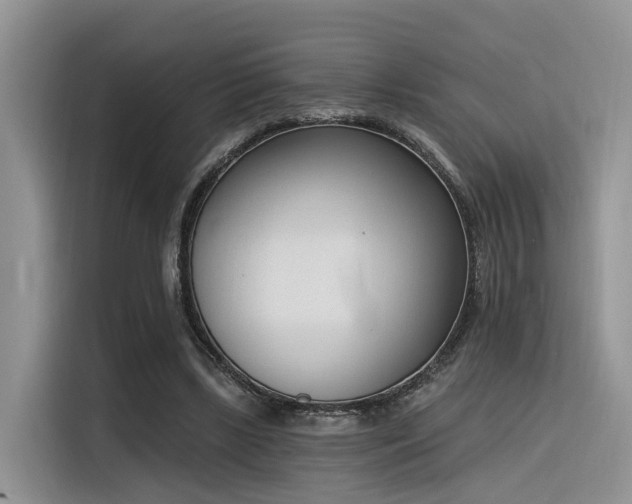 X0000116380443200912021523