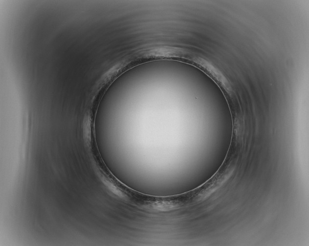 X0000116380445200912021523