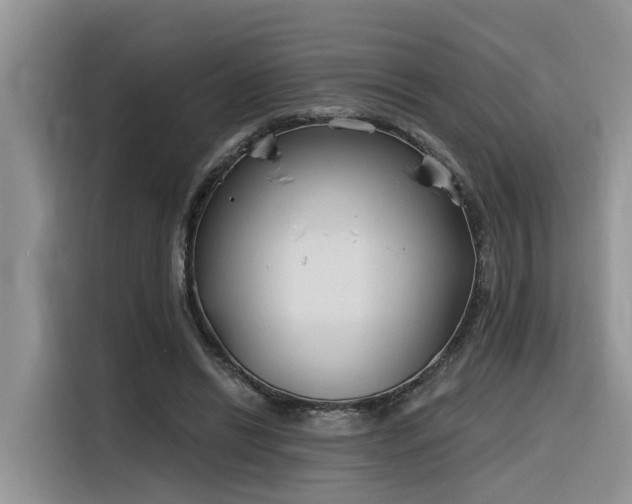 X0000116380446200912021523