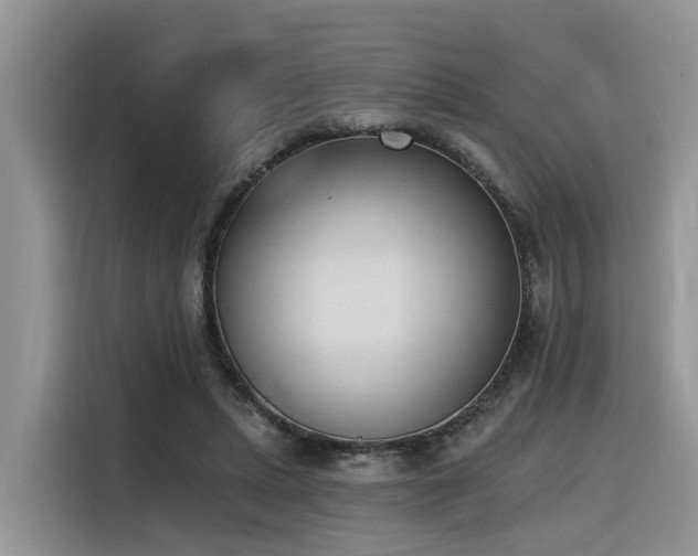 X0000116380447200912021523