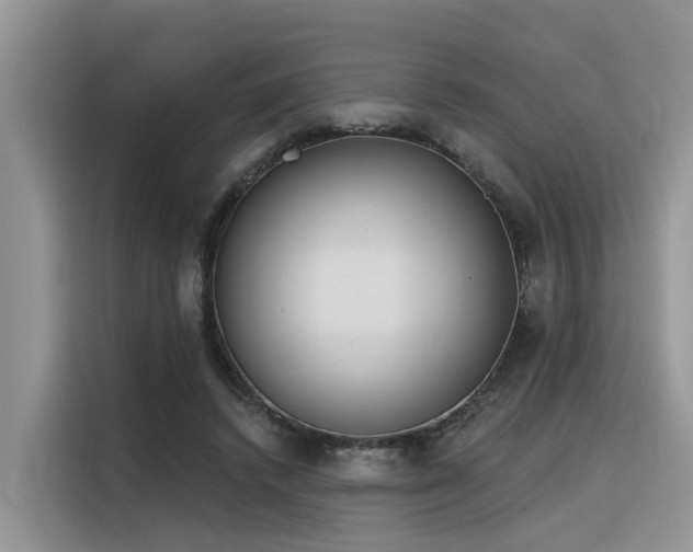 X0000116380448200912021523