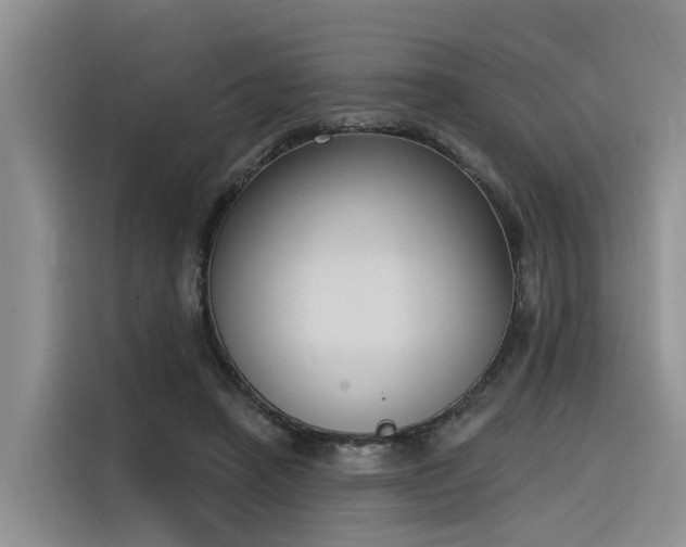 X0000116380450200912021523