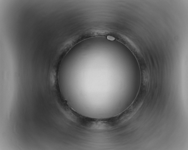 X0000116380451200912021523