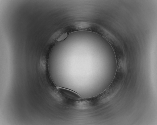 X0000116380452200912021523