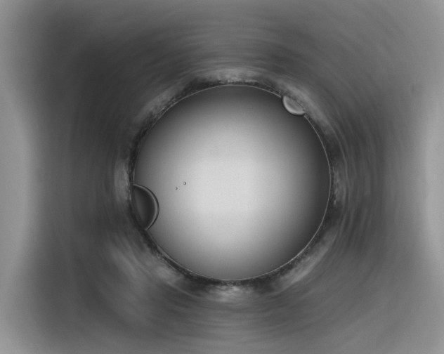 X0000116380453200912021523