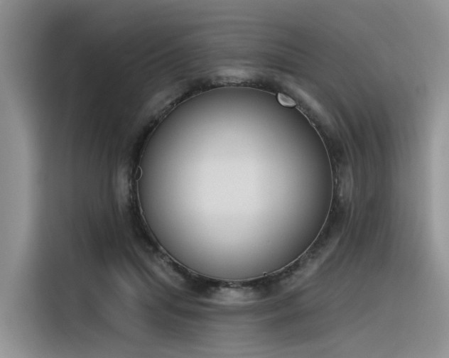 X0000116380455200912021523