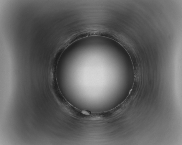 X0000116380456200912021523