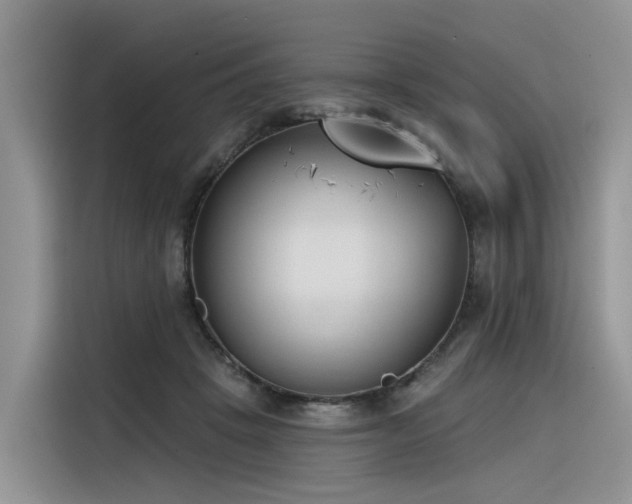X0000116380457200912021523