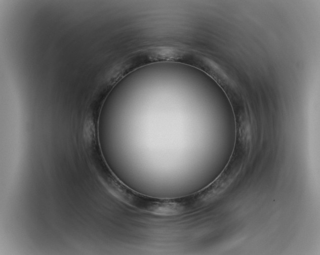X0000116380459200912021523