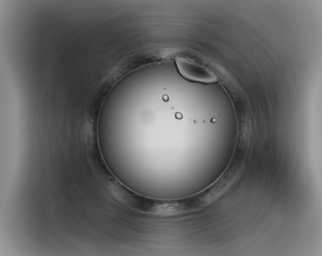 X0000116380461200912021523