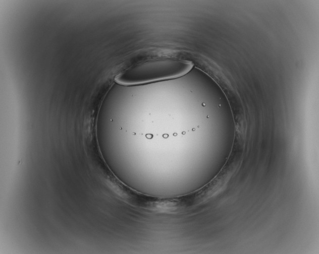 X0000116380462200912021523