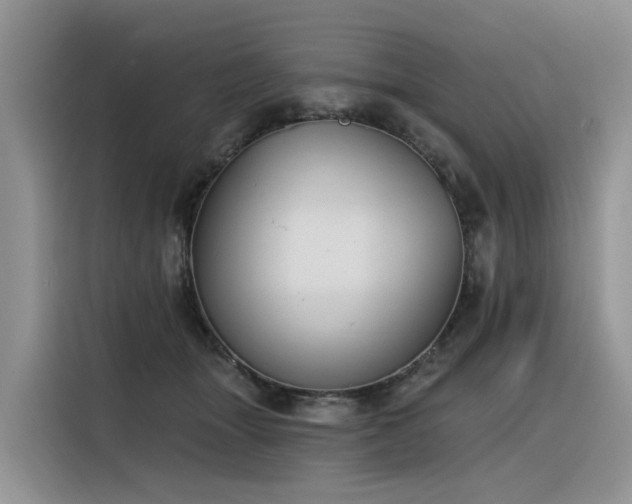 X0000116380463200912021523