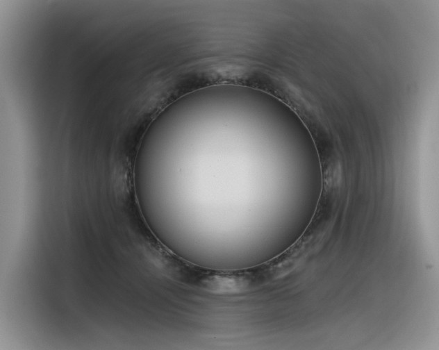 X0000116380464200912021523