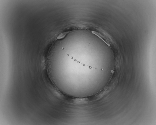X0000116380465200912021523