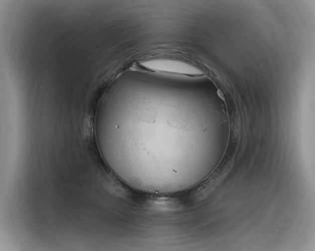 X0000116380467200912021523