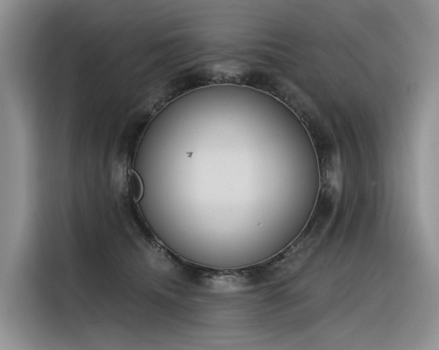 X0000116380468200912021523