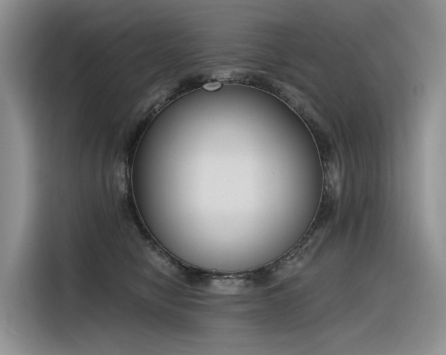 X0000116380470200912021523