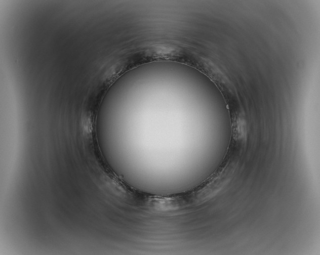 X0000116380472200912021523