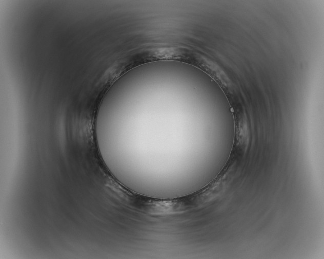 X0000116380473200912021523