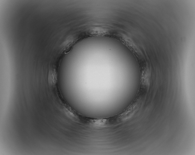 X0000116380474200912021523