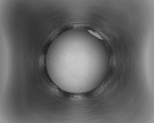 X0000116380475200912021523