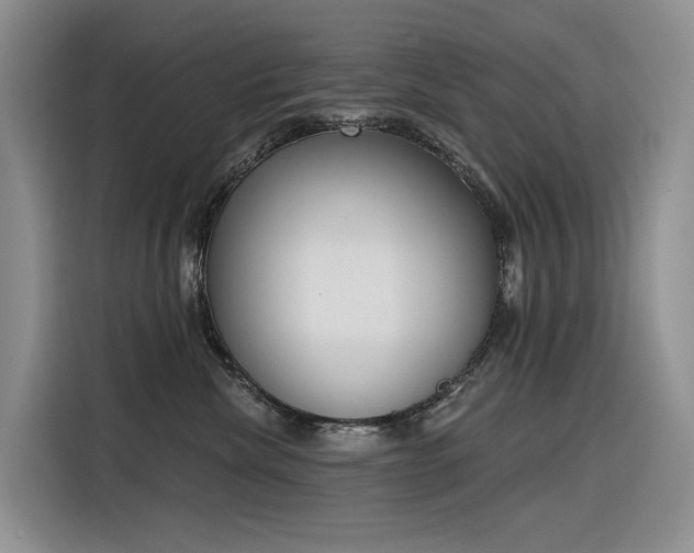 X0000116380476200912021523