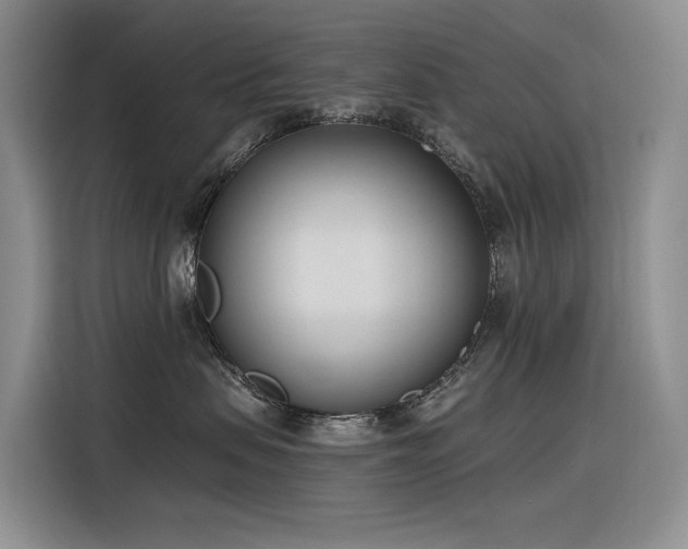 X0000116380479200912021523