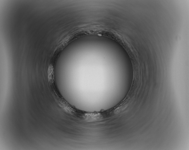 X0000116380480200912021523