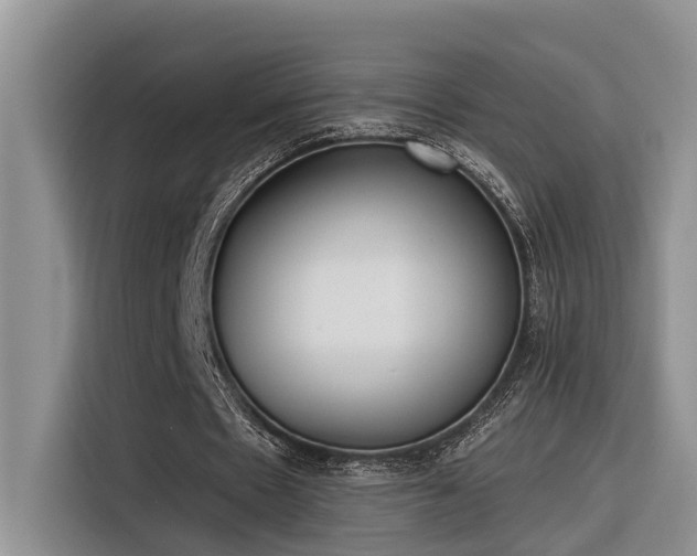 X0000116380481200912021523