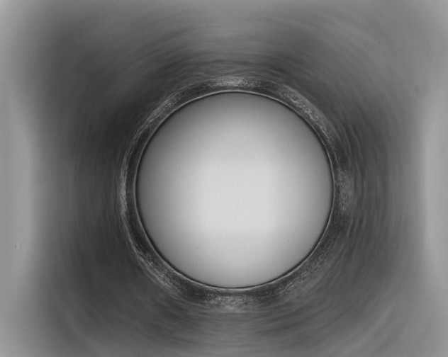 X0000116380482200912021523