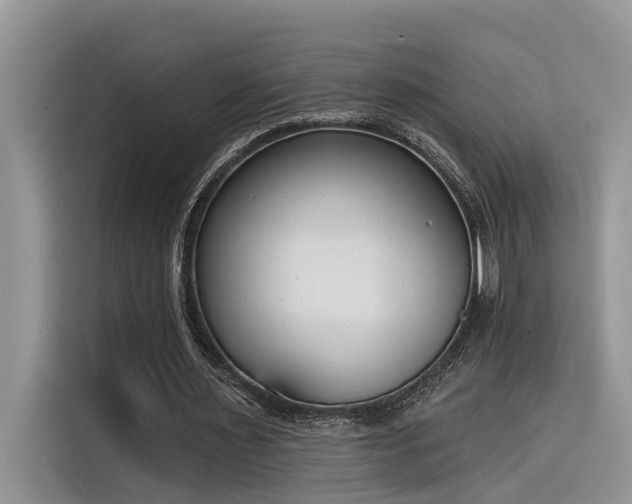 X0000116380483200912021523