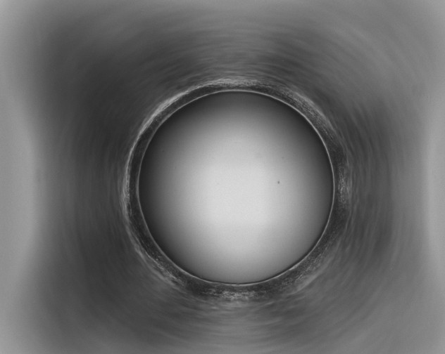 X0000116380484200912021523