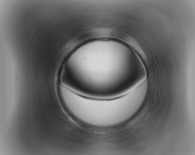 X0000116380485200912021522
