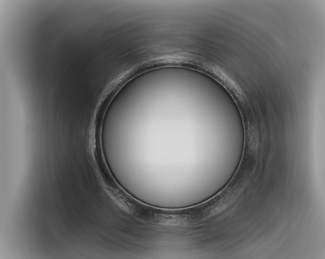 X0000116380486200912021522