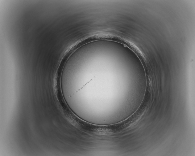 X0000116380487200912021522