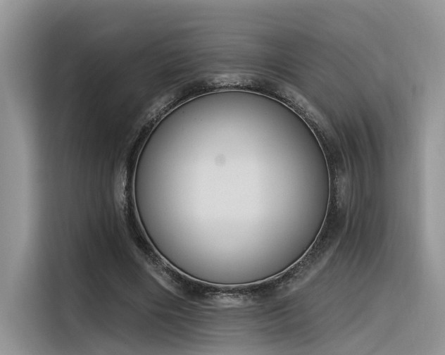 X0000116380490200912021522